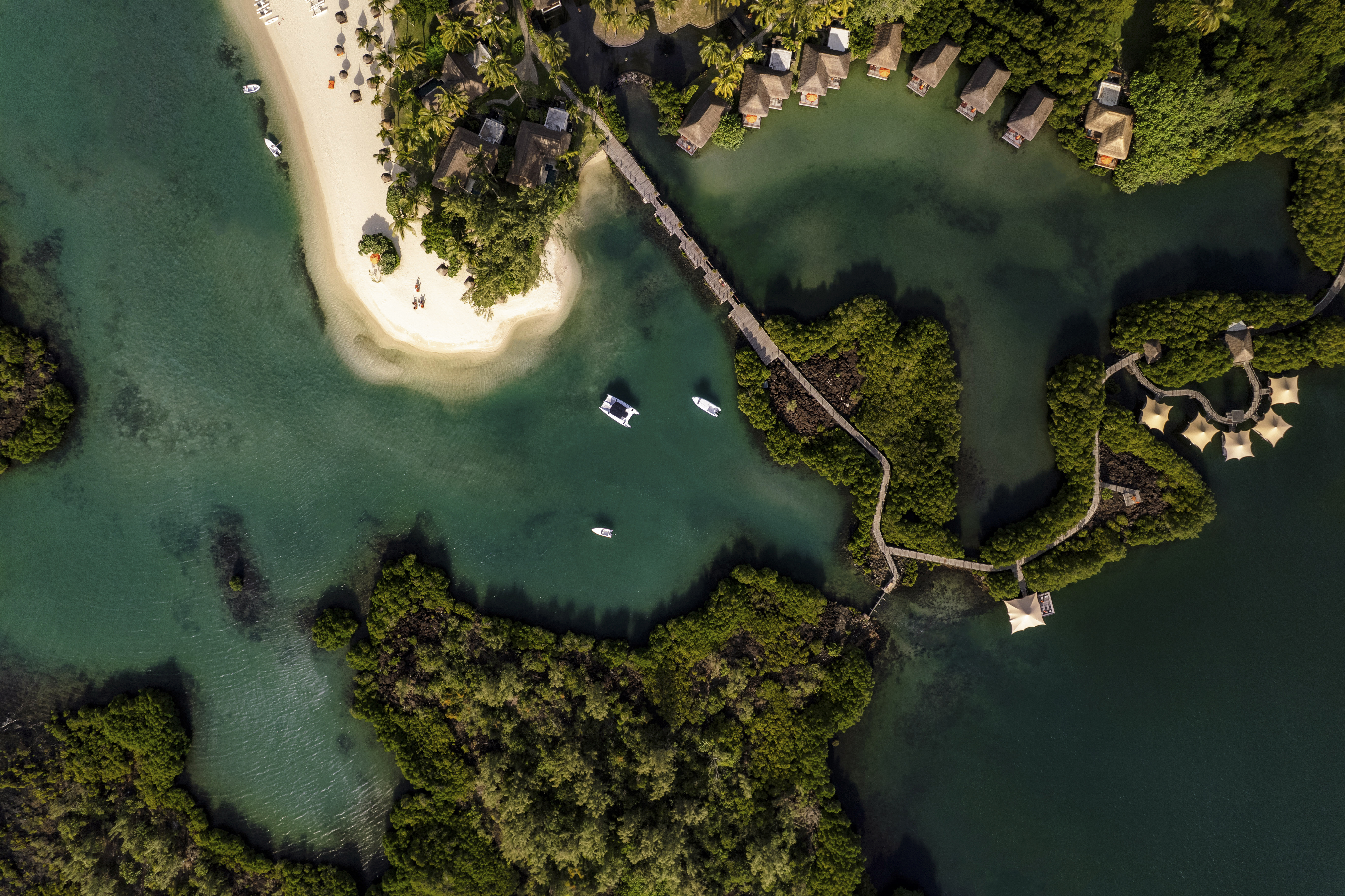 Constance Prince Maurice